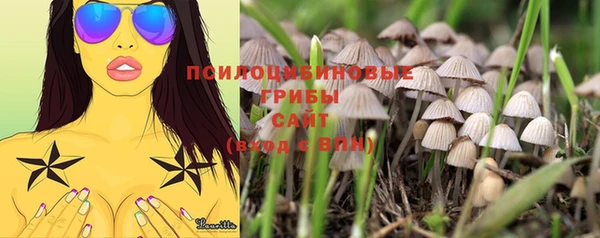 мдма Медвежьегорск