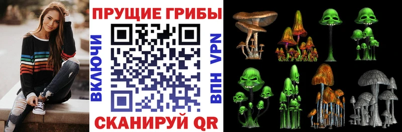 наркошоп Новочеркасск Псилоцибиновые грибы MAGIC MUSHROOMS