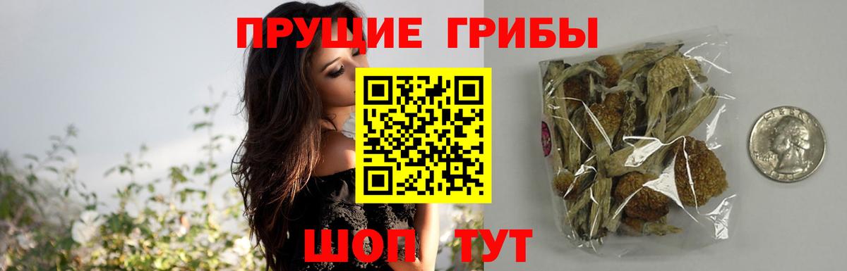 Новочеркасск  Псилоцибиновые грибы мухоморы  Псилоцибиновые грибы GOLDEN TEACHER  Вход с VPN 